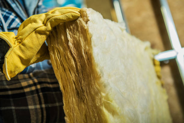Best Cellulose Insulation in Pierre Part, LA