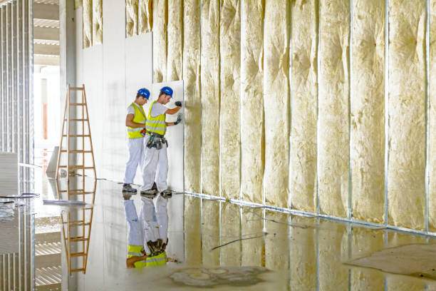 Best Blown-in Insulation in Pierre Part, LA